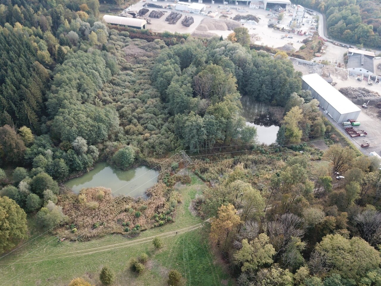 Das Natura 2000 Gebiet um den Ziegelteich stellt ein Trittsteinbiotop in der ansonsten anthropogen stark überprägten Landschaft dar.