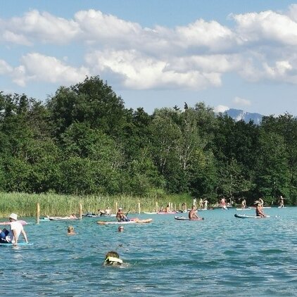 Für die starke Zunahme der Stand Up Paddler im Seeabflussbereich müssen Besucherlenkungsmaßnahmen gesetzt werden.