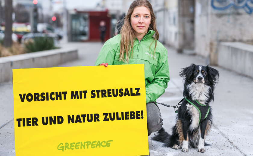 Nur zwei österreichische Landeshauptstädte - Klagenfurt und Eisenstadt - weisen laut Greenpeace eine gute Streusalz-Bilanz auf. 