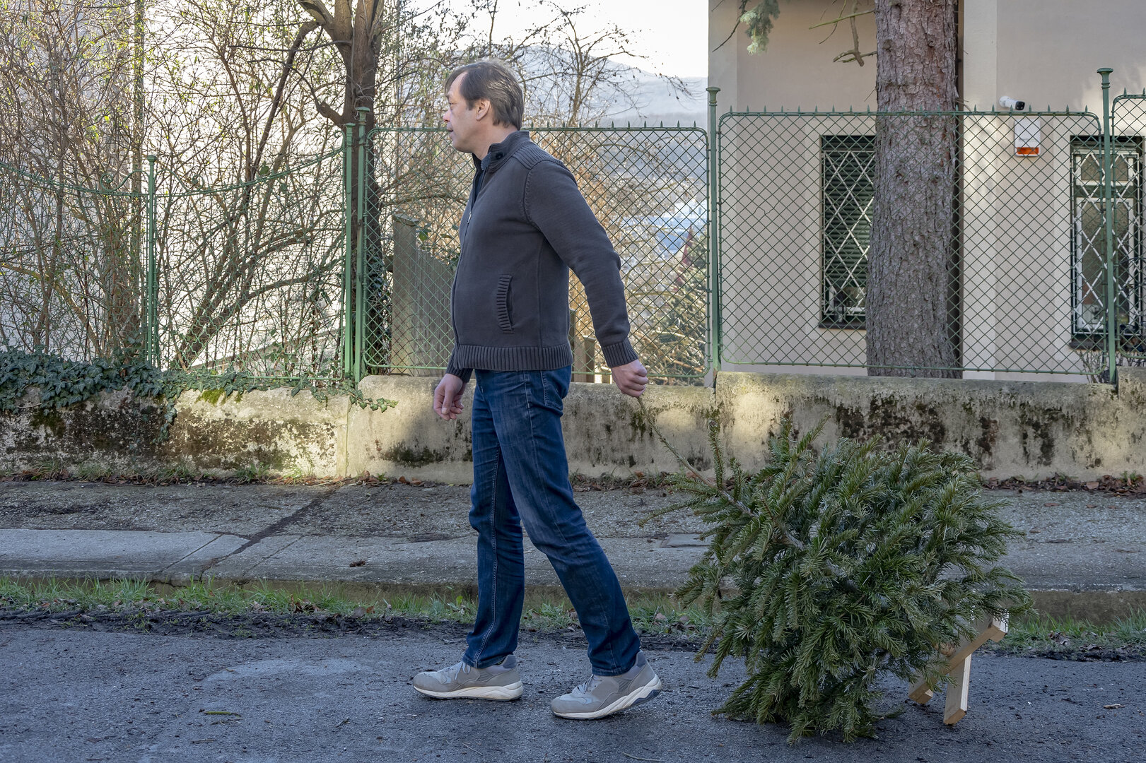 Nachdem der Christbaum leergeräumt wurde, kann er zum Sammelplatz in der Wohnanlage gebracht werden (Symbolfoto).