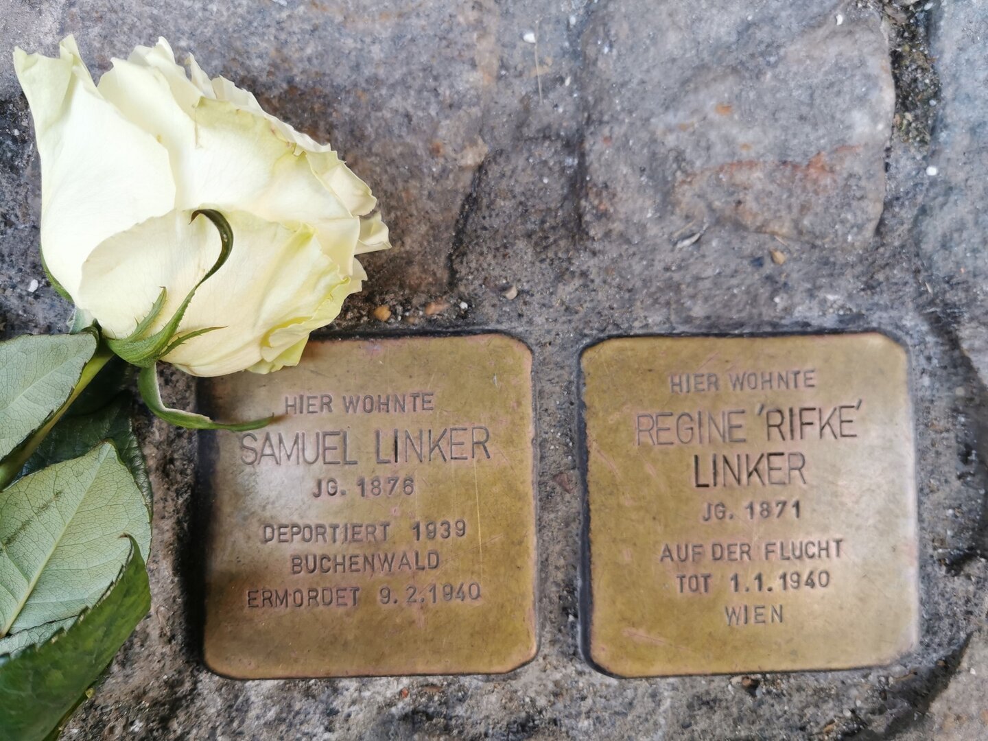 Die "Stolpersteine" erinnern an die Schicksale von jüdischen Menschen, die in Klagenfurt gelebt haben.